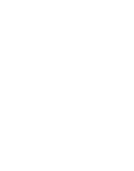 Dome icon 1
